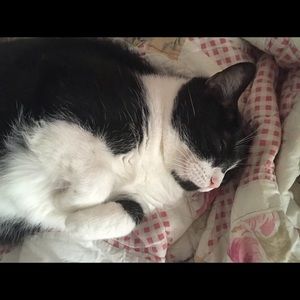 Meet your Posher, Amanda